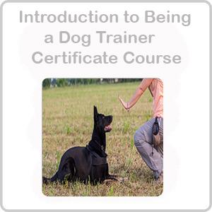 Be qa dog trainer