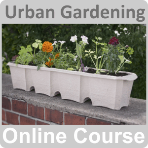 urban gardening online course